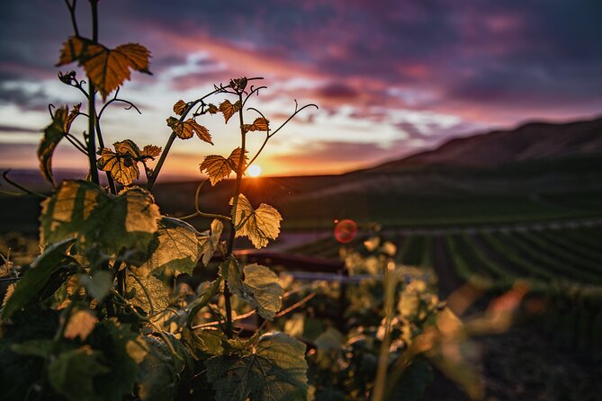 Wine Tasting Audio Tour - Paso Robles CA - Good To Know