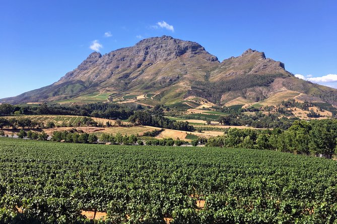 Wine Tasting - Boutique Farms - Good To Know