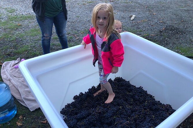 Wine Tasting Experience in Centralia - Wine Tasting Packages