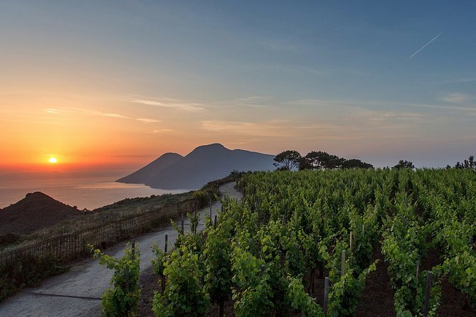 Wine Tasting in Vineyard at the Sunset in Lipari Island