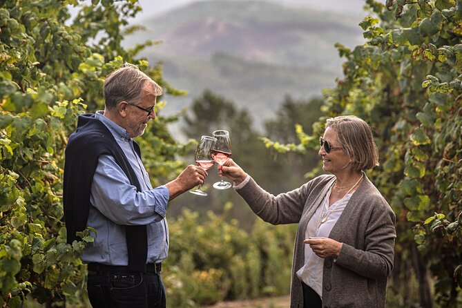 Wine Tasting & Lunch Quinta De Santa Cristina Vinho Verde - Good To Know