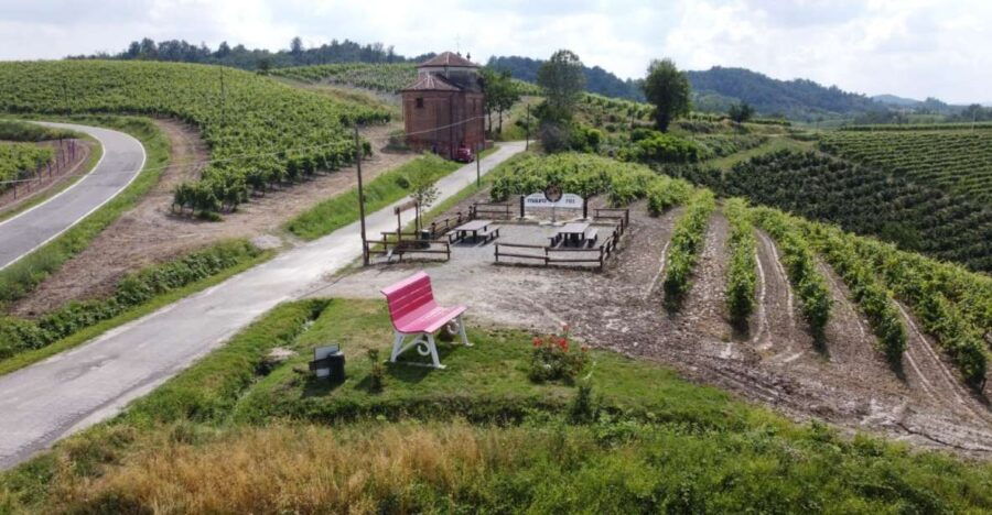 Wine Tasting of Monferrato Wines With a Visit to the Winery