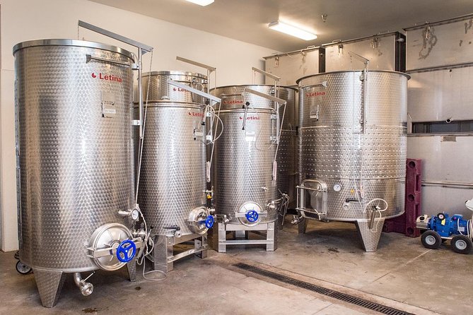 Wine Tasting, Winery Tour, Cheese Plate, Bottle of Wine - Wine Tasting Experience