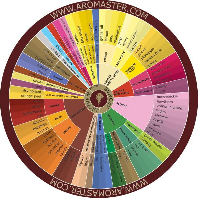 Wine Tasting With Megan: Group Tastings in Your Home