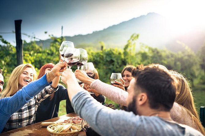 Wine Tour in Calabria - Tenuta Celimarro Winery