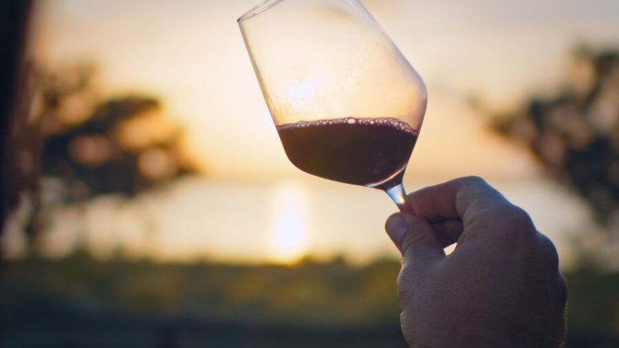 Wine Tour Through the Vineyards With Tasting by Salt Lake - Good To Know