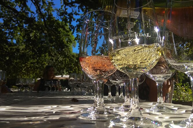 Wine Tour to Stellenbosch & Franschhoek • Incl Tastings & Lunch - Good To Know