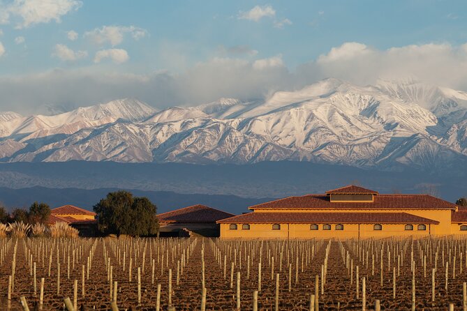 Wine Tour With Lunch and Transport in Mendoza