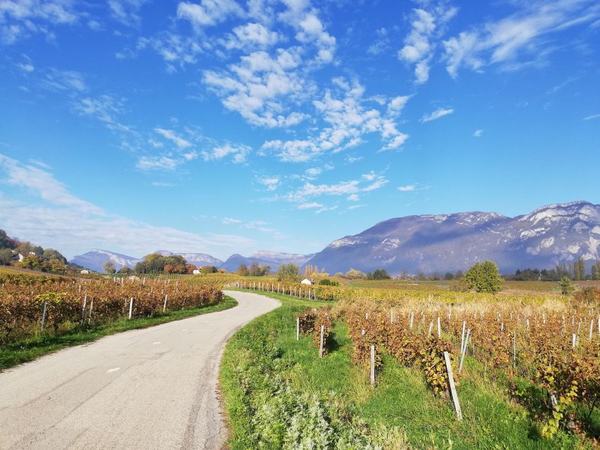 Wine Tour With Private Driver Departing From Annecy - Good To Know