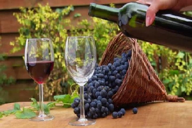 Wine Tours in Wine Country Mendoza Argentina