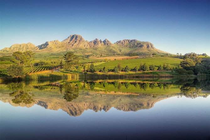Winelands Full Day Tour - History of Winelands