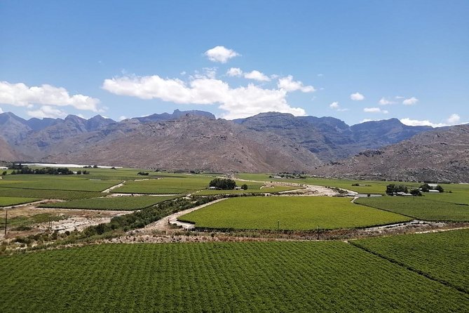 Winelands Tour