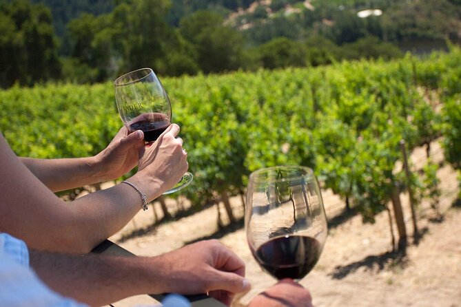 Winery Tour and Tasting - Good To Know