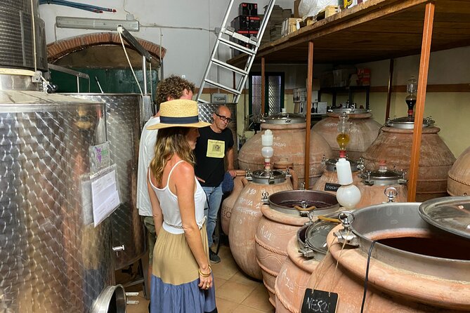 Winery Tour and Tasting With the Winemaker in Elba Island