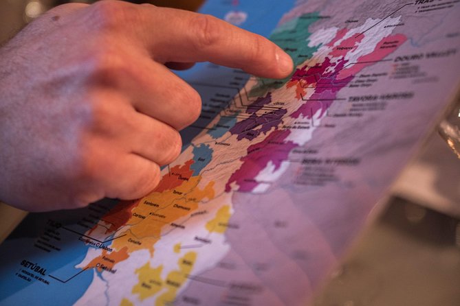 Wines of Portugal - North to South Tasting - Good To Know