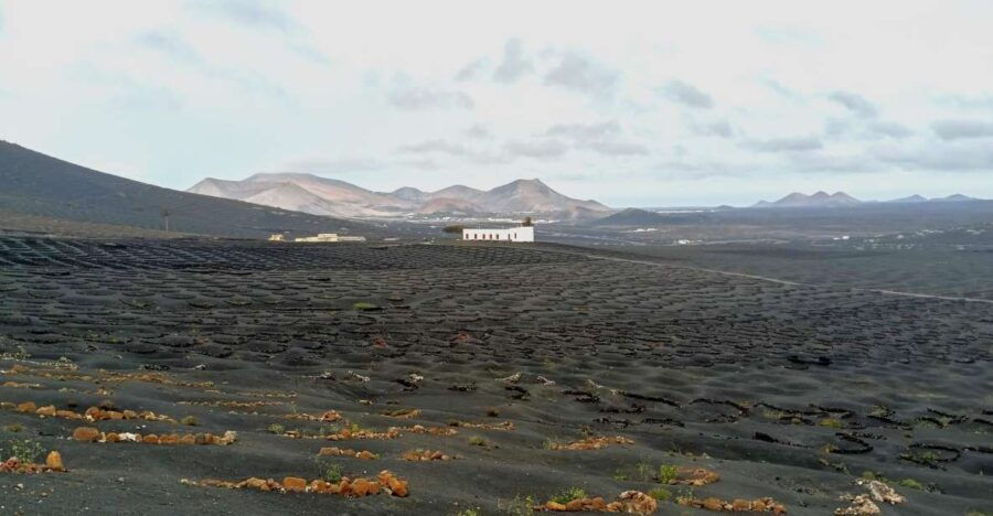 Winetourism in Lanzarote: the First Vineyards in Masdache - Masdache: Lanzarotes Pioneering Vineyards