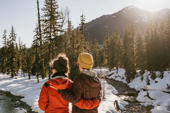 Winter Day Tour to Longmire on Mount Rainier From Seattle - Good To Know