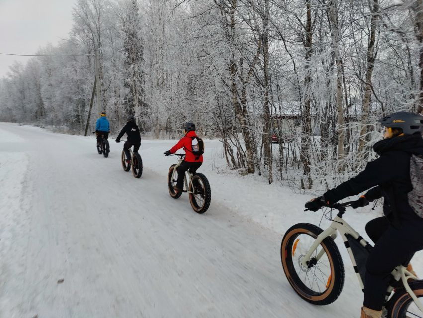 Winter Fatbiking in Ivalo