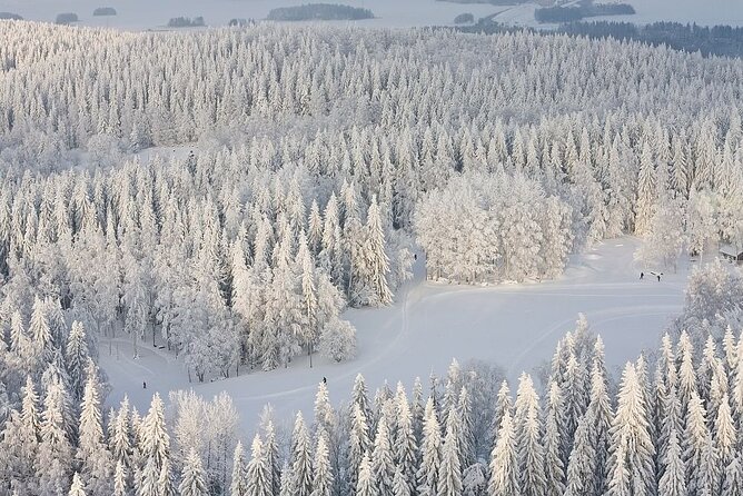 Winter Quad Bike Ride in the Arctic Circle From Rovaniemi - Good To Know