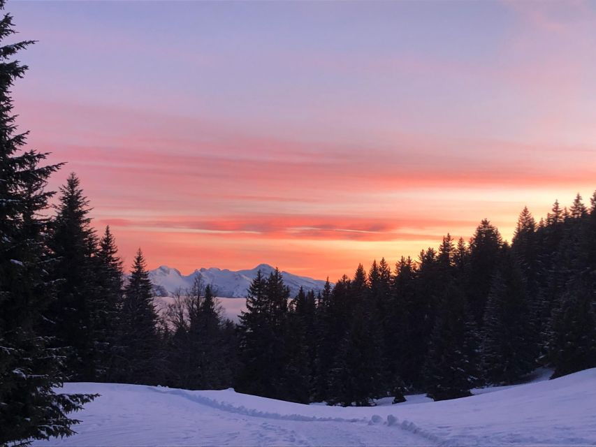 Winter Wonderland Expedition: a Snowshoe Journey Into the He