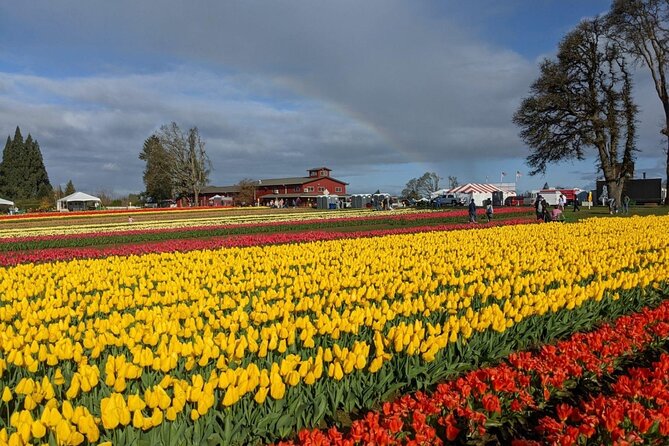 Wooden Shoe Tulip Festival