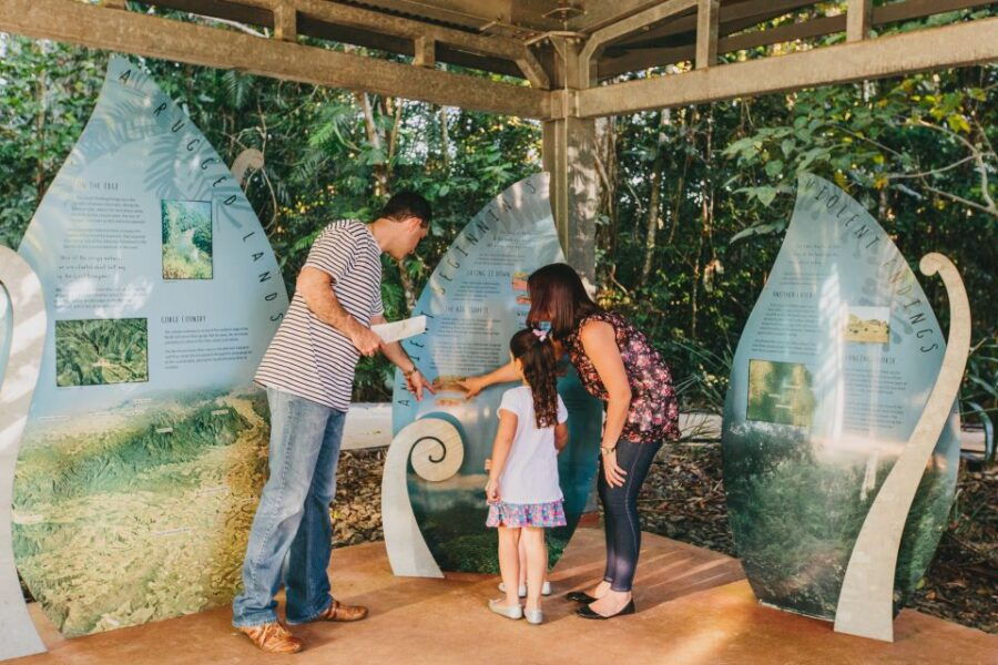 Wooroonooran National Park: Mamu Tropical Skywalk Admission