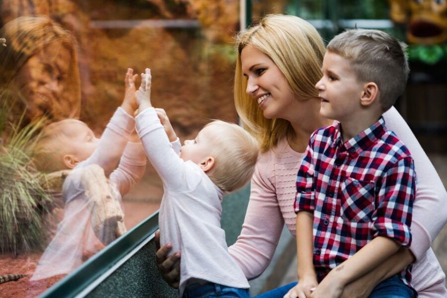 Wroclaw: Zoo With Private Transport and Tickets