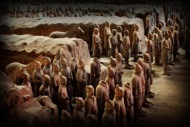 Xian Expert Tour of Terracotta Warriors Museum in Half Day