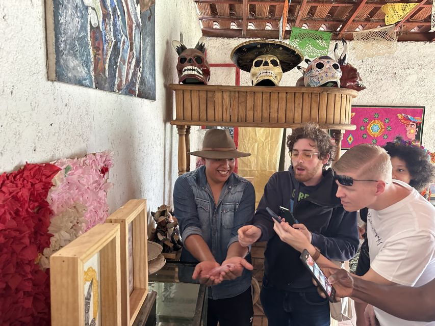 Xochimilco: Boat Tour With Ambystoma Mexicanum Sanctuary - Good To Know