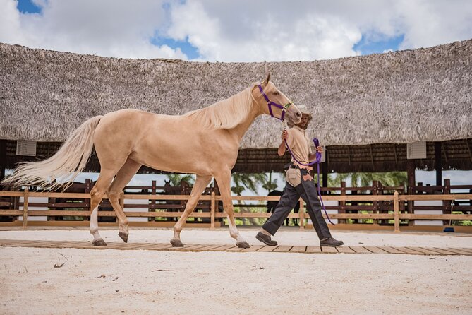 Xploration Animal Encounters Half Day Tour From Punta Cana - Tour Duration and Pickup Details