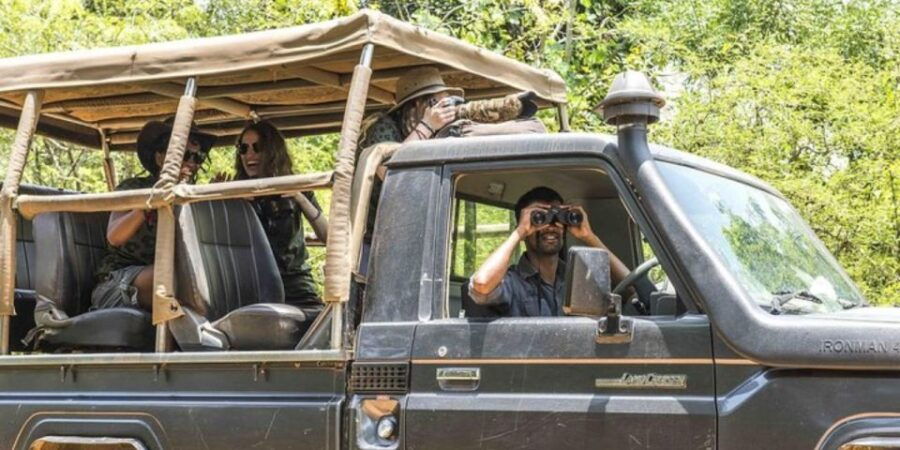 Yala Full-Day Leopard Safari With Gourmet Picnic - Good To Know