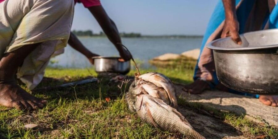 Yala: Lake Fishing and Village Dining Tour! - Good To Know