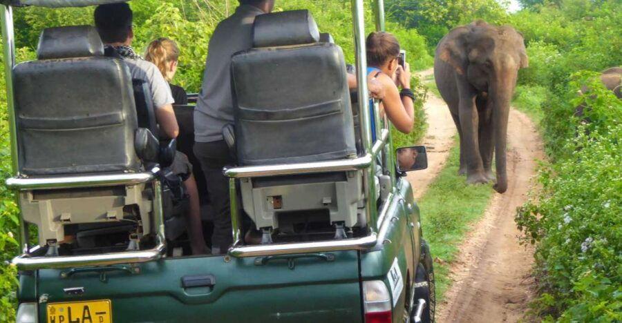 Yala National Park: Leopard Safari Full Day Tour With Lunch - Good To Know