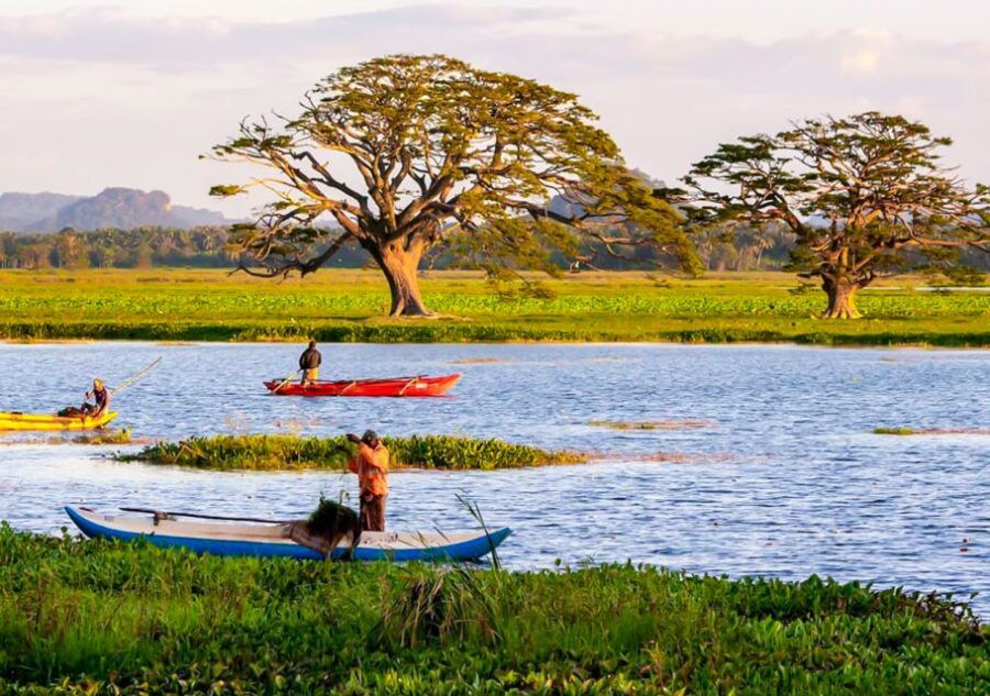 Yala: Sunset Tour by Boat & Beach BBQ Dinner - Good To Know