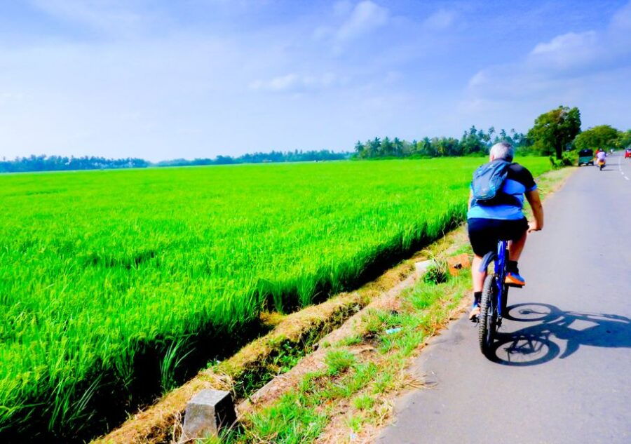 Yala Village Cycling Tour
