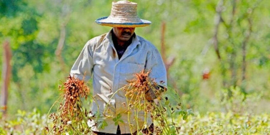 Yala: Village Life Exploration Tour!