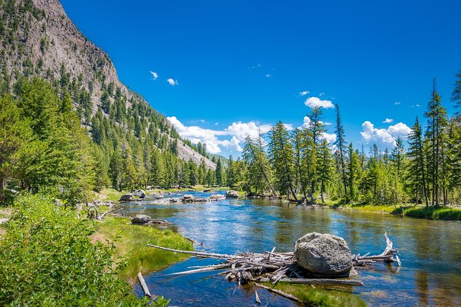 Yellowstone, Glacier and Grand Teton Self Guided Audio Tour - Good To Know
