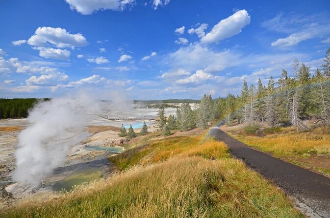 Yellowstone Hot Spring & Geyser Basin Tour