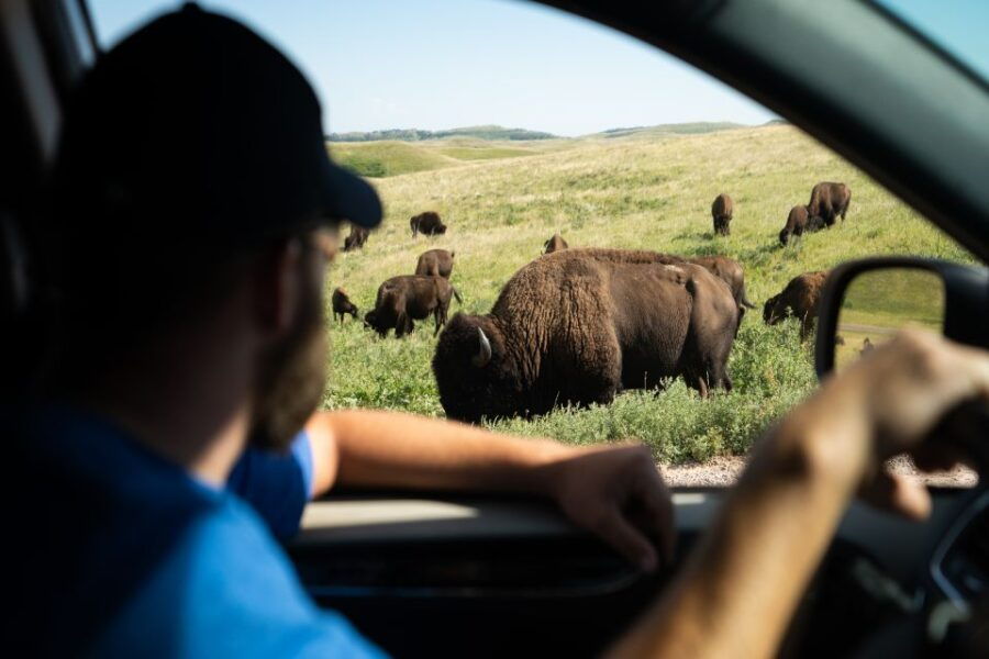 Yellowstone: Self-Guided Tour of National Park Highlights - Good To Know