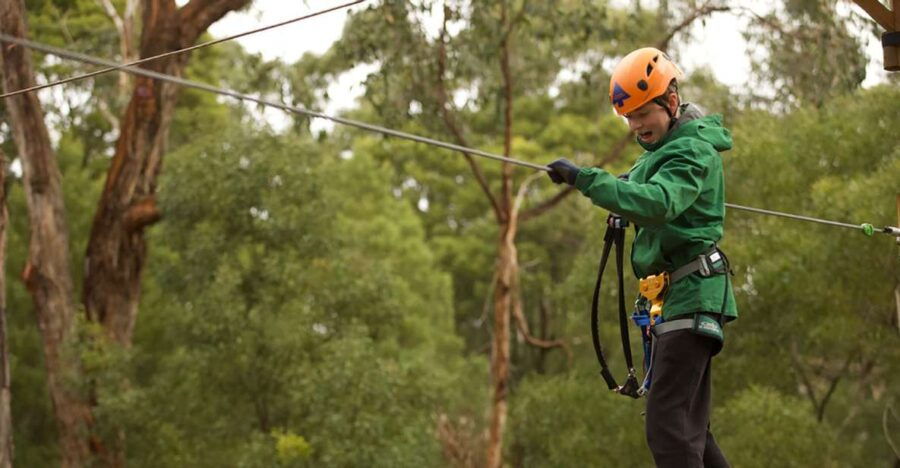 Yeodene: Tree Ropes Courses