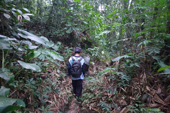 Yogyakarta Countryside Walking Tour