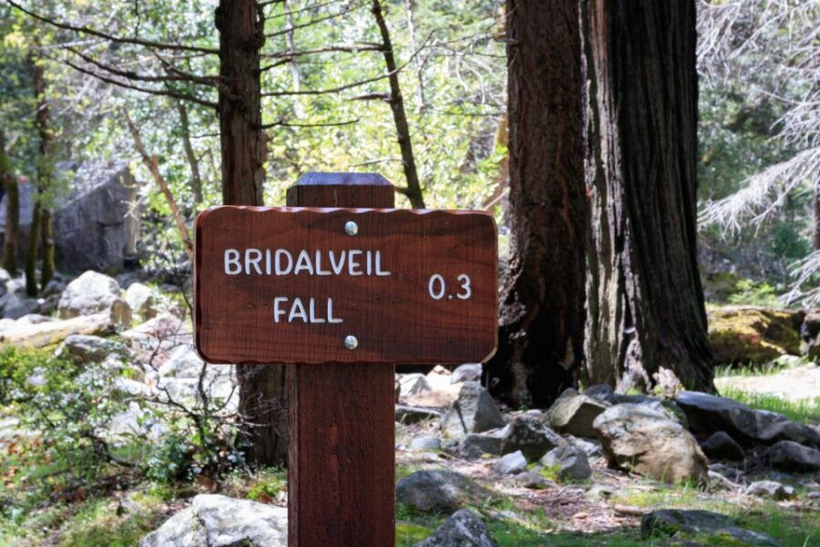 Yosemite National Park: App-Based Audio Guided Driving Route
