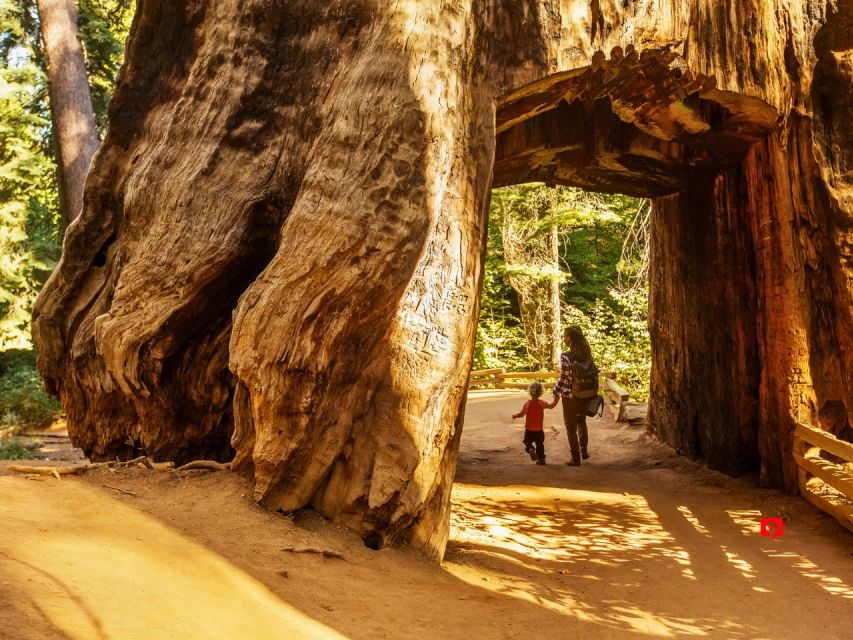 Yosemite: Self-Guided Audio Driving Tour