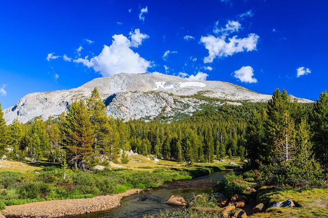 Yosemite’s High Country Adaptive Tour