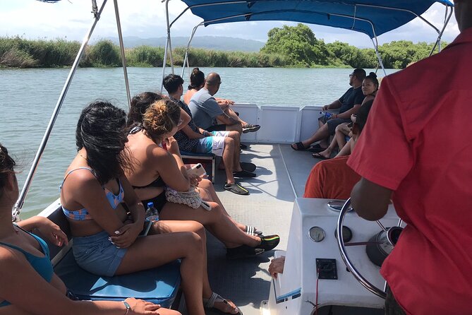 YS Falls and Black River Safari Including Pelican Bar Tour