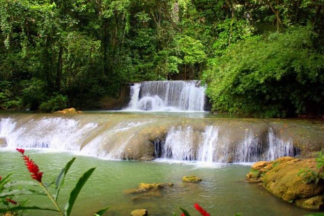 YS Falls and Pelican Bar Combo Half-Day Private Tour South Coast