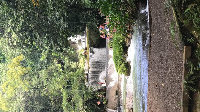 YS Falls, Black River Safari, Floyd's Pelican Bar