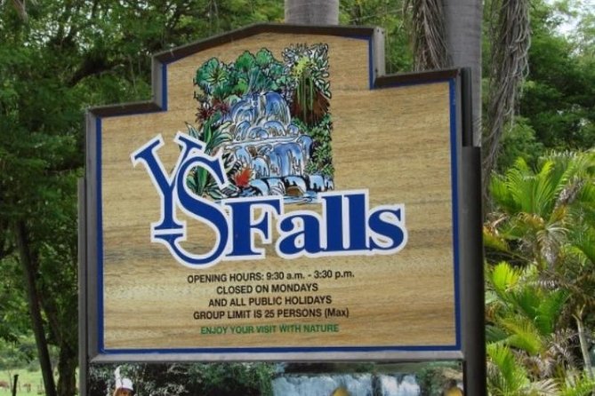 YS Falls Private Tour From Montego Bay