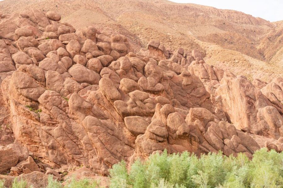 Zagora Desert & Sahara Overnight Camp 2 Days From Marrakech