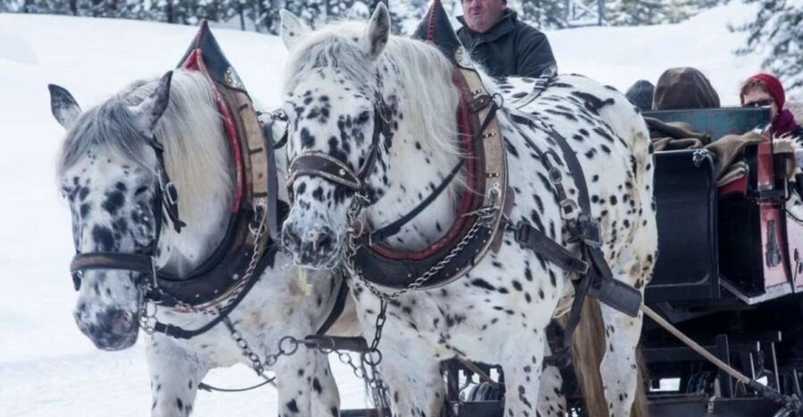Zakopane and Sleigh Ride With Transfers and Lunch Option - Good To Know